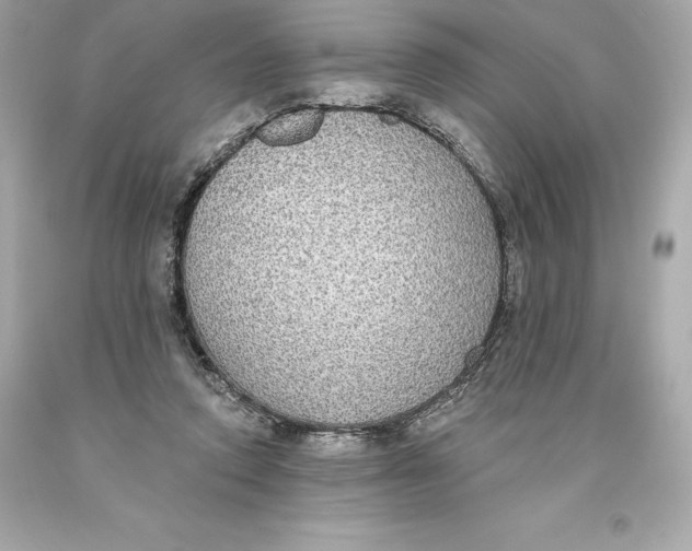 X0000093620354200711051244