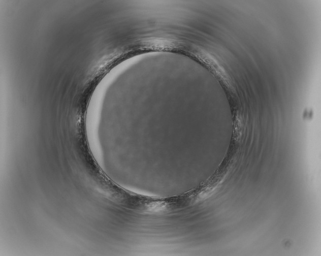 X0000093620355200711051244