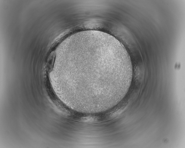 X0000093620356200711051244