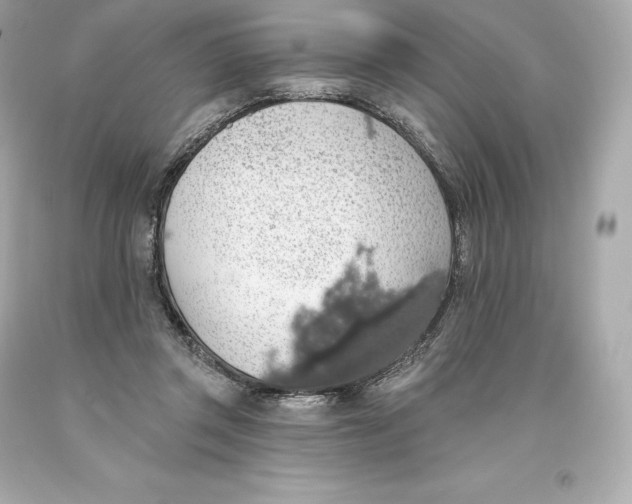 X0000093620357200711051244