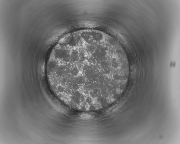 X0000093620358200711051244