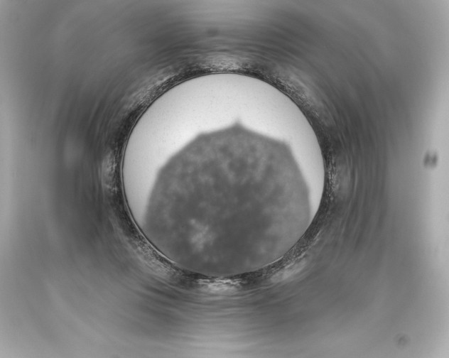 X0000093620359200711051244