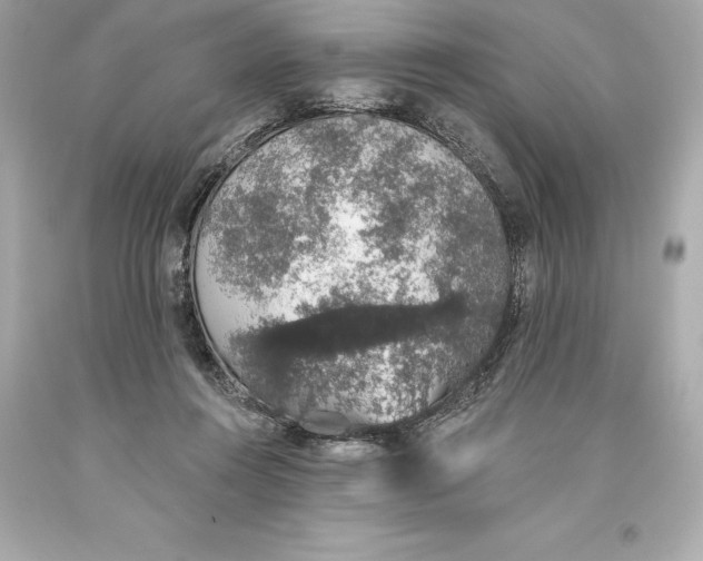 X0000093620360200711051244