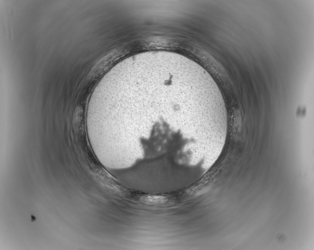 X0000093620361200711051244