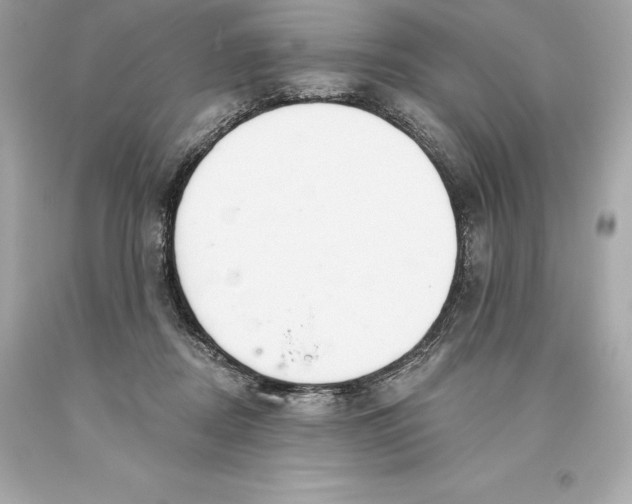 X0000093620362200711051244