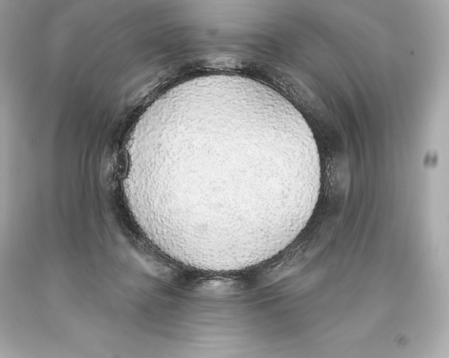 X0000093620364200711051244