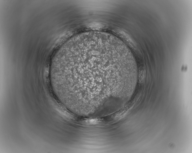 X0000093620365200711051244