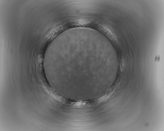 X0000093620366200711051244