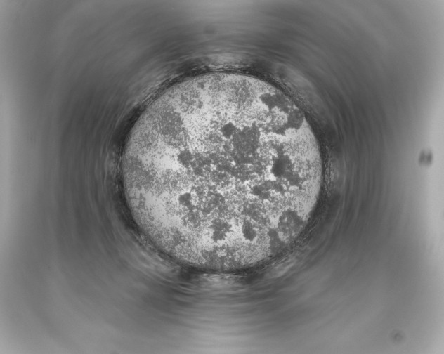 X0000093620367200711051244