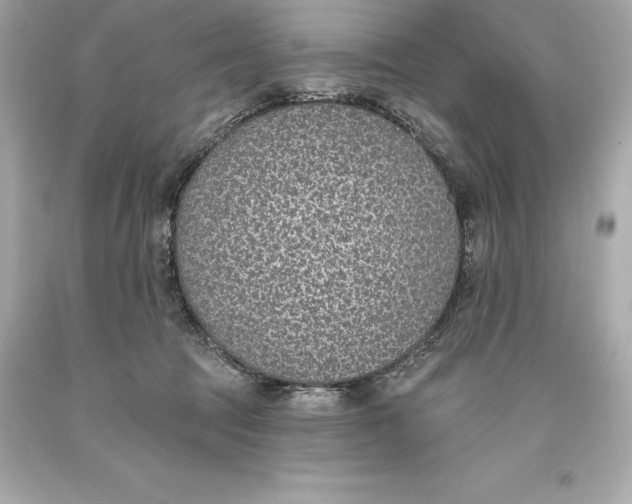 X0000093620369200711051244