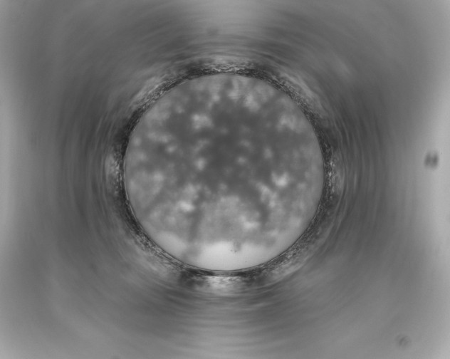 X0000093620371200711051244