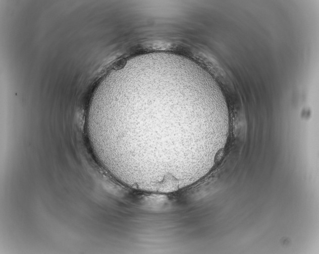 X0000093620374200711051244