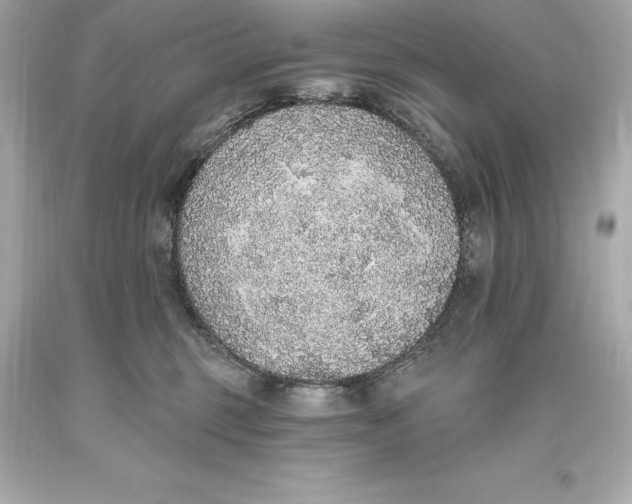 X0000093620375200711051244