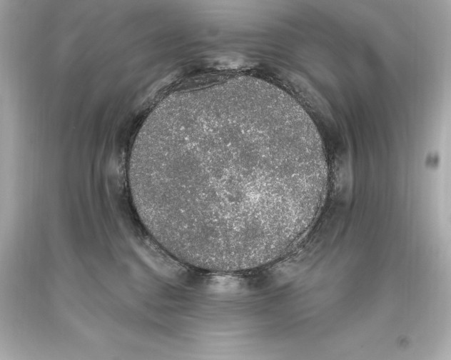 X0000093620376200711051244