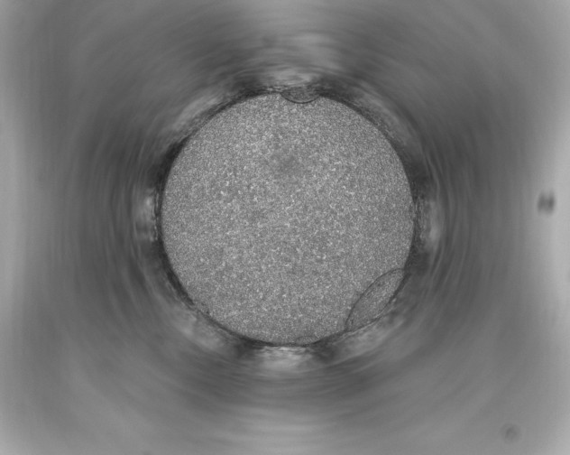 X0000093620378200711051244