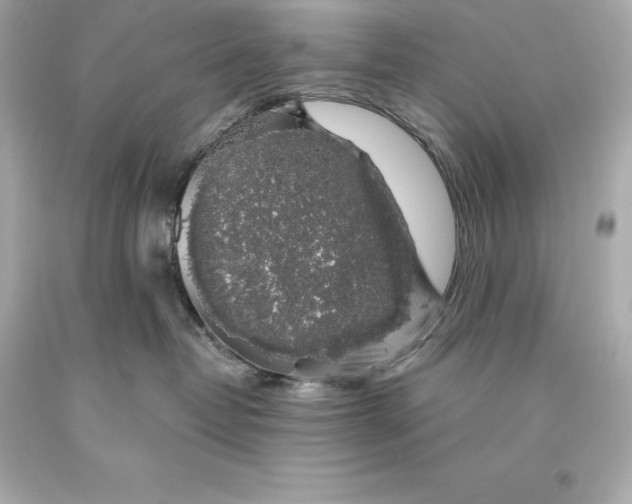 X0000093620382200711051244