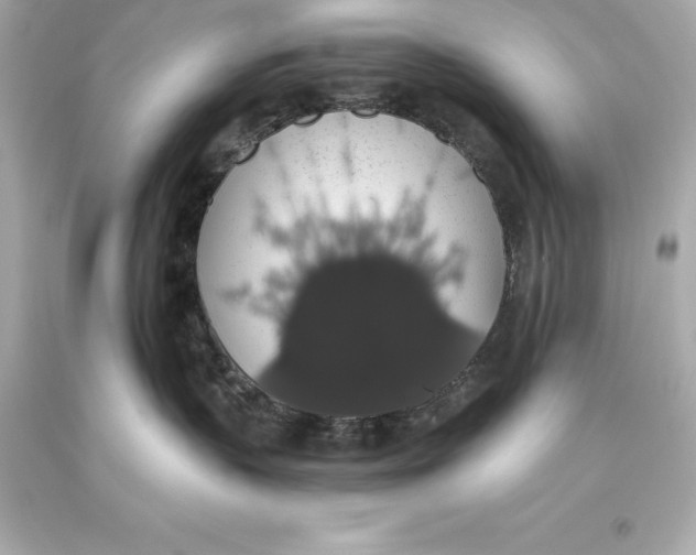 X0000093620383200711051244