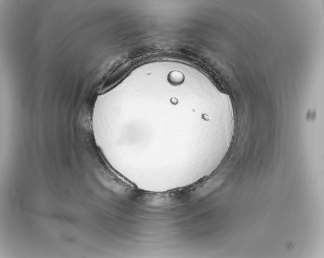 X0000093620384200711051244