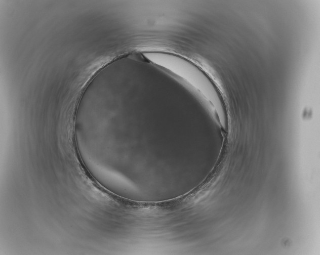 X0000093620385200711051243