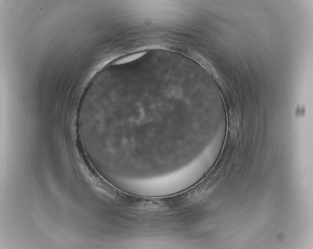 X0000093620386200711051243