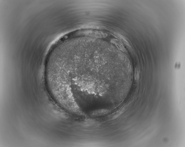 X0000093620388200711051243