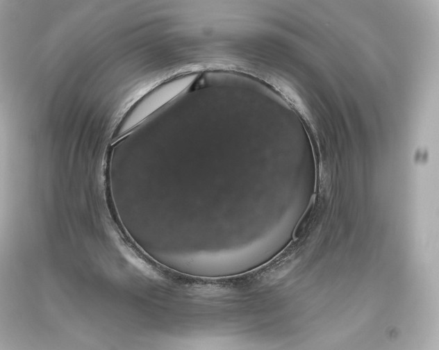 X0000093620389200711051243