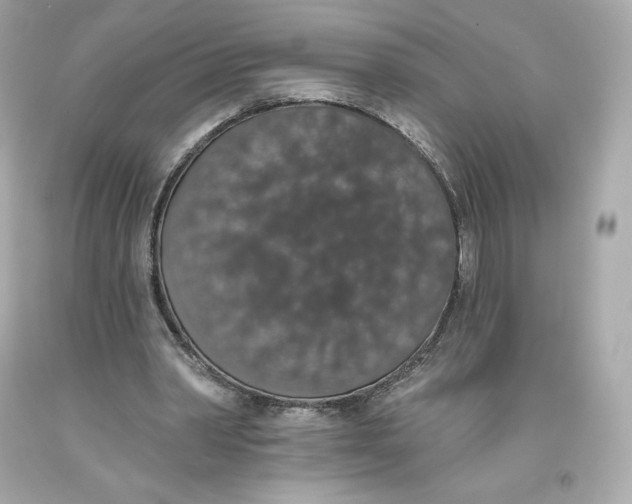 X0000093620390200711051243