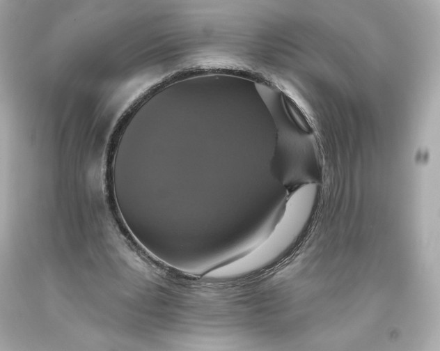 X0000093620391200711051243