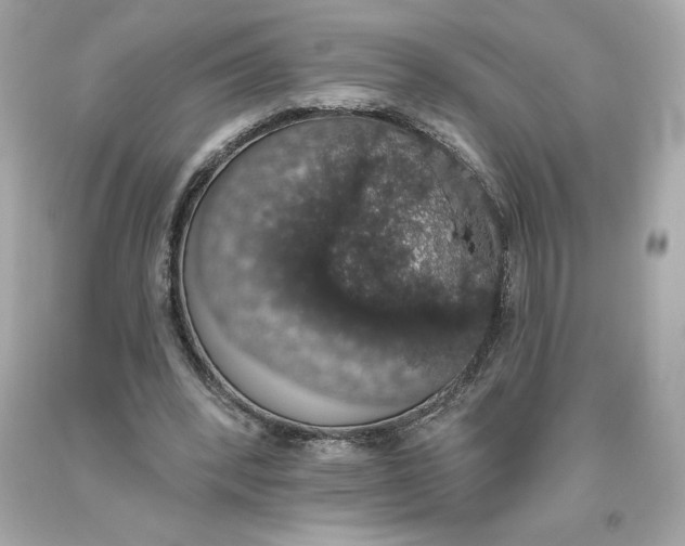 X0000093620392200711051243