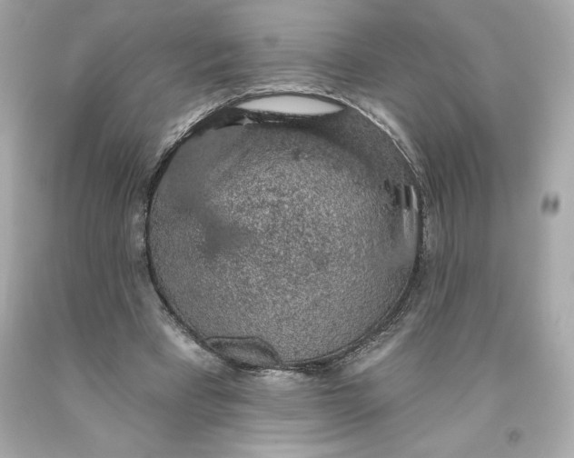 X0000093620393200711051243