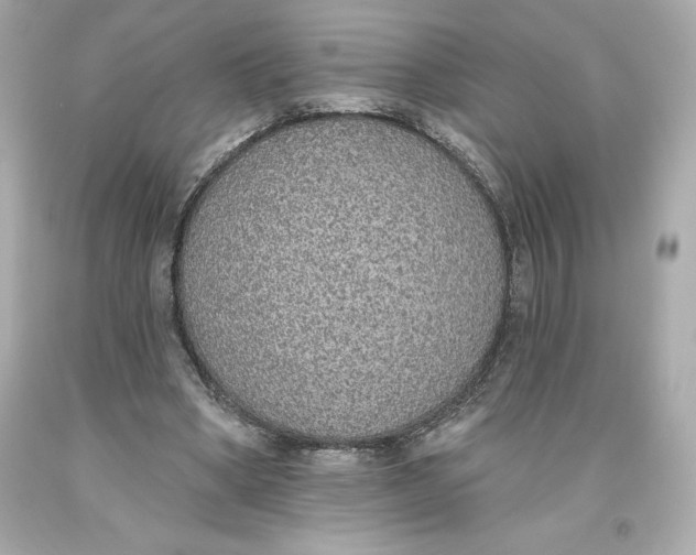 X0000093620394200711051243