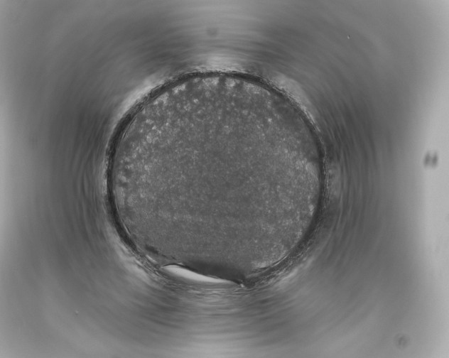 X0000093620395200711051243