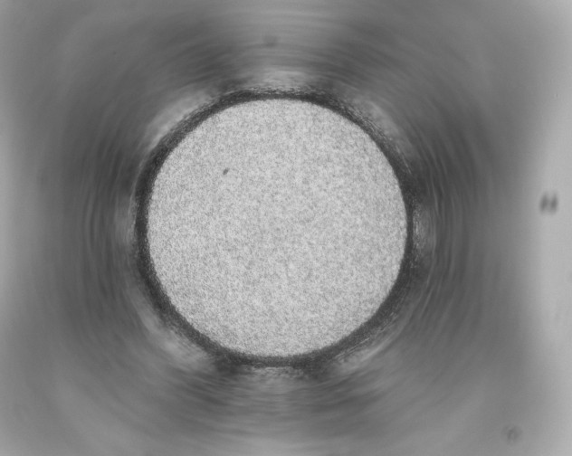 X0000093620396200711051243