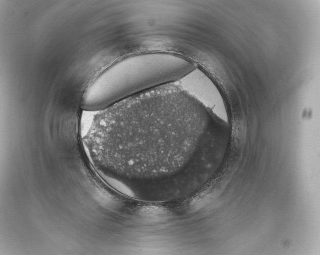 X0000093620397200711051243