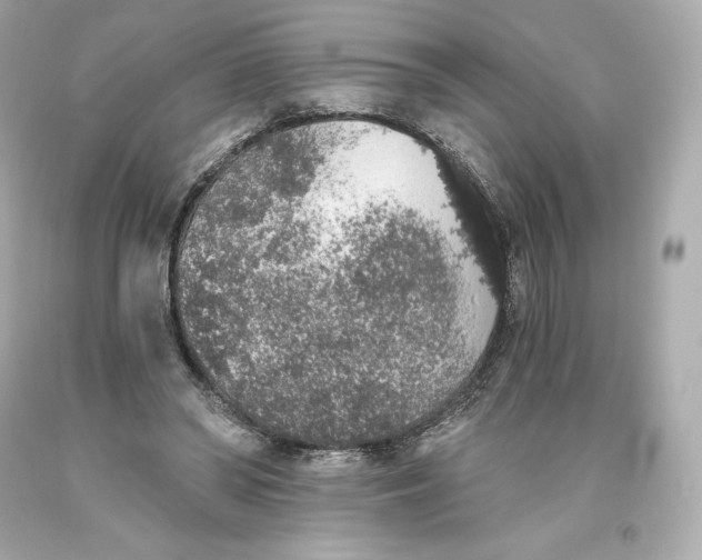 X0000093620398200711051243