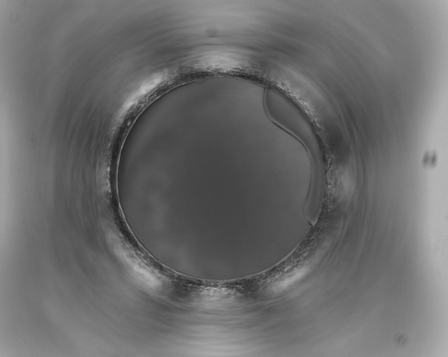 X0000093620399200711051243