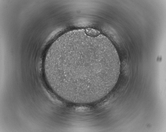 X0000093620400200711051243