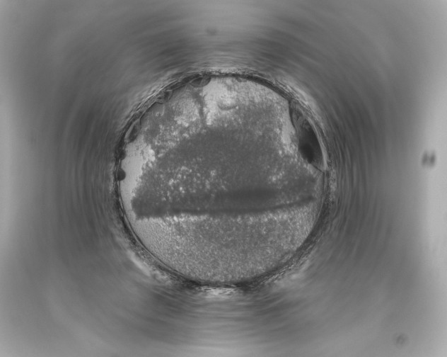 X0000093620401200711051243