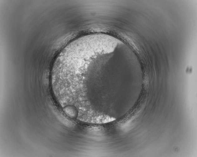 X0000093620402200711051243