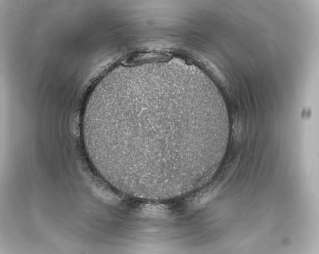 X0000093620403200711051243