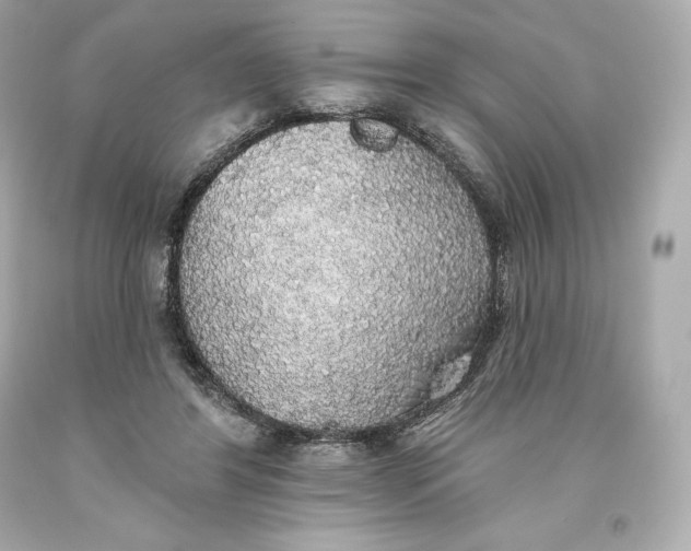 X0000093620404200711051243