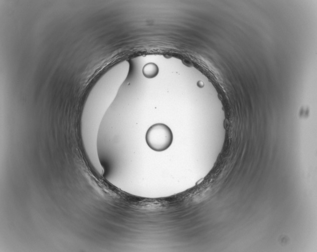 X0000093620405200711051243