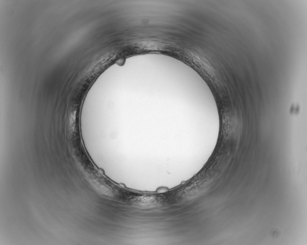 X0000093620406200711051243