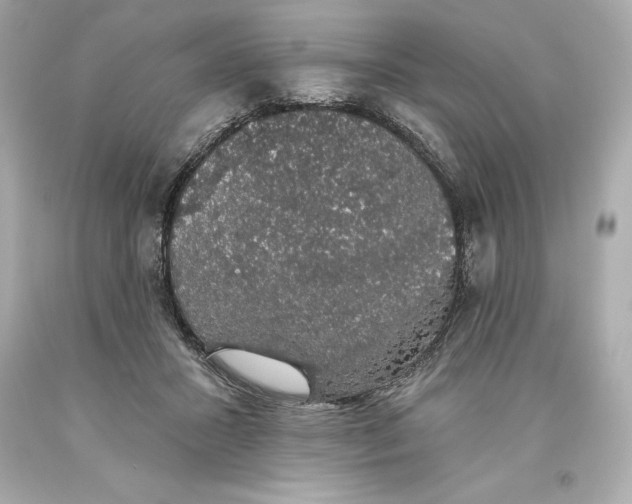 X0000093620407200711051243