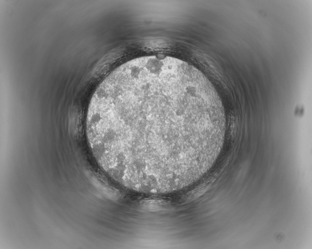 X0000093620408200711051243