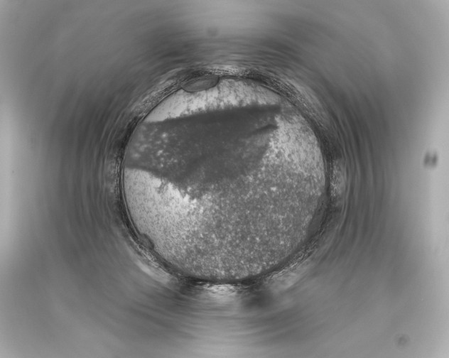 X0000093620409200711051243