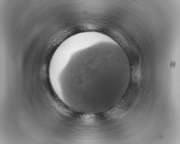 X0000093620410200711051243