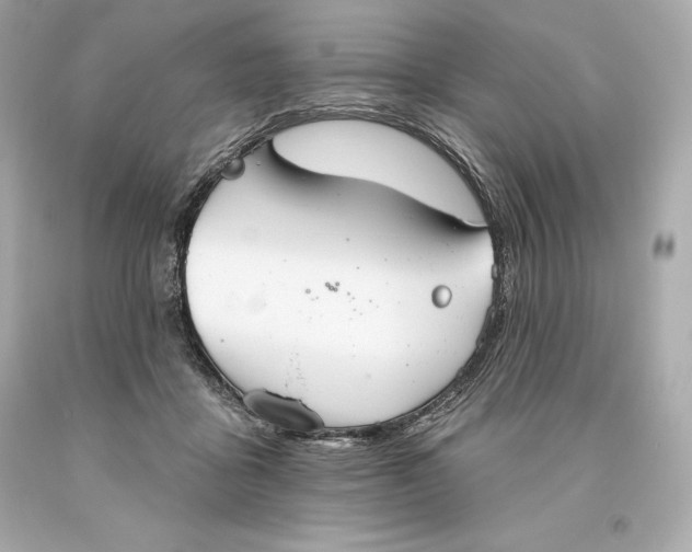 X0000093620411200711051243