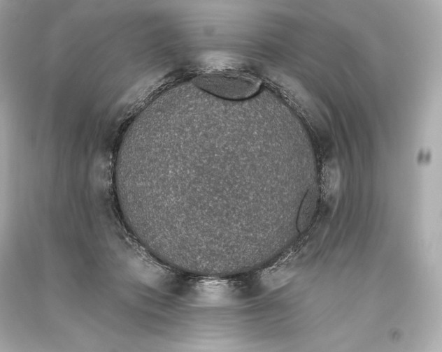 X0000093620413200711051243