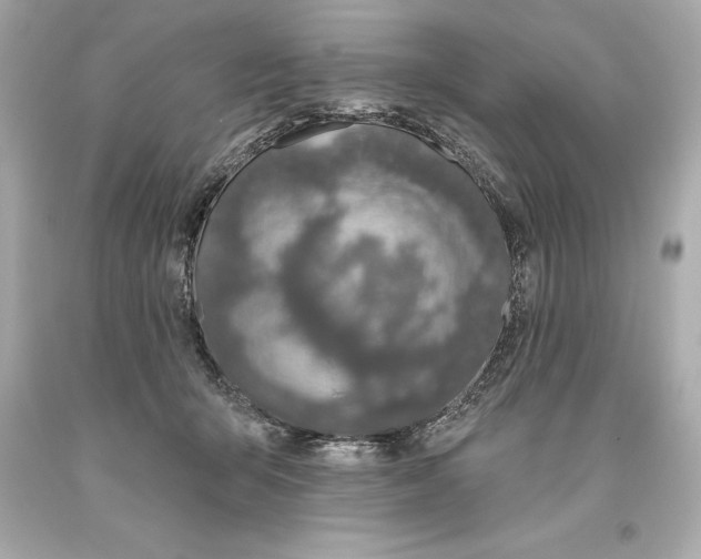 X0000093620415200711051243